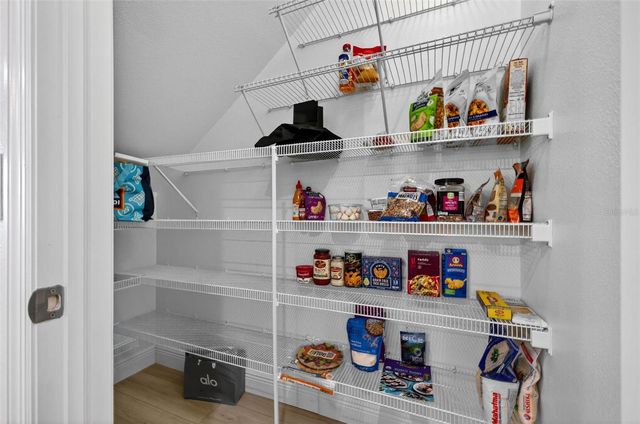 8128 MUDDY PINES PLACE, Tampa, FL 33635