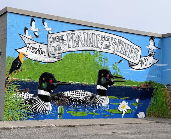 34774 400th ST St SE, Fosston, MN 56542