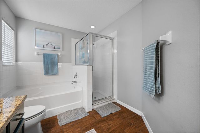 10031 CREEK BLUFF DRIVE, Riverview, FL 33578