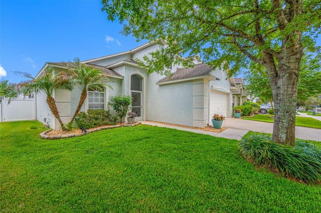 10031 CREEK BLUFF DRIVE, Riverview, FL 33578