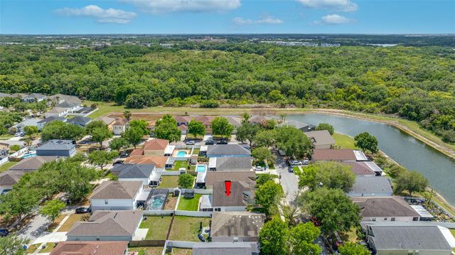 10031 CREEK BLUFF DRIVE, Riverview, FL 33578