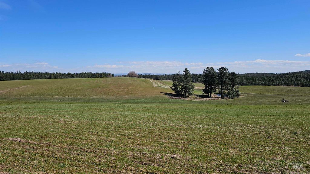 3592 Freeman Creek Rd, Lenore, ID 83541 photo 42