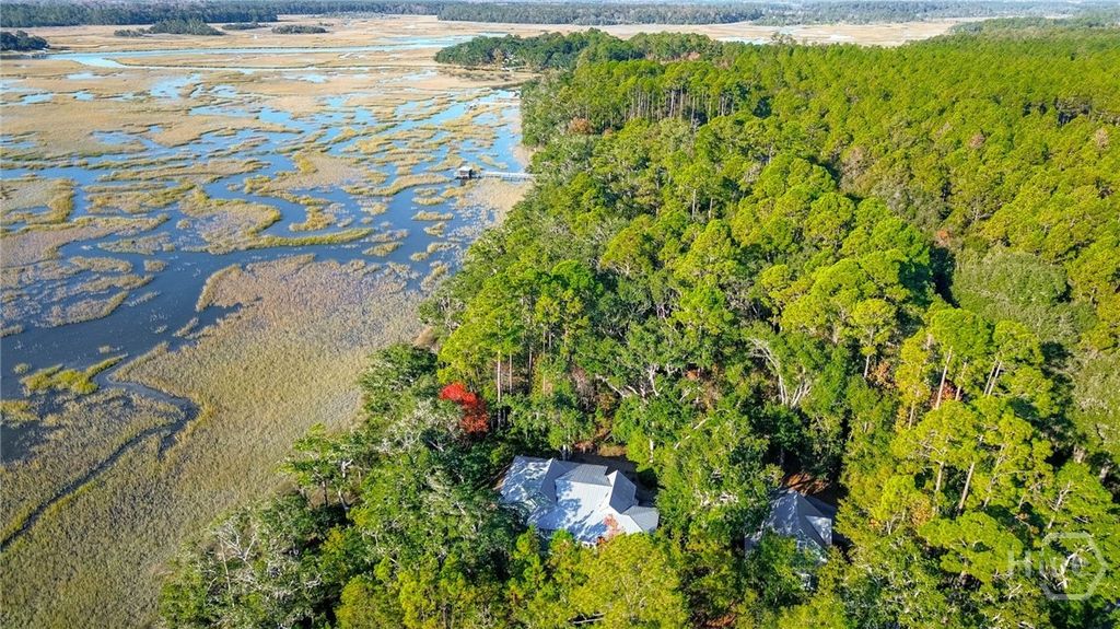 Image 33 of property listing at 3649 Julienton Drive NE, Townsend, GA 31331