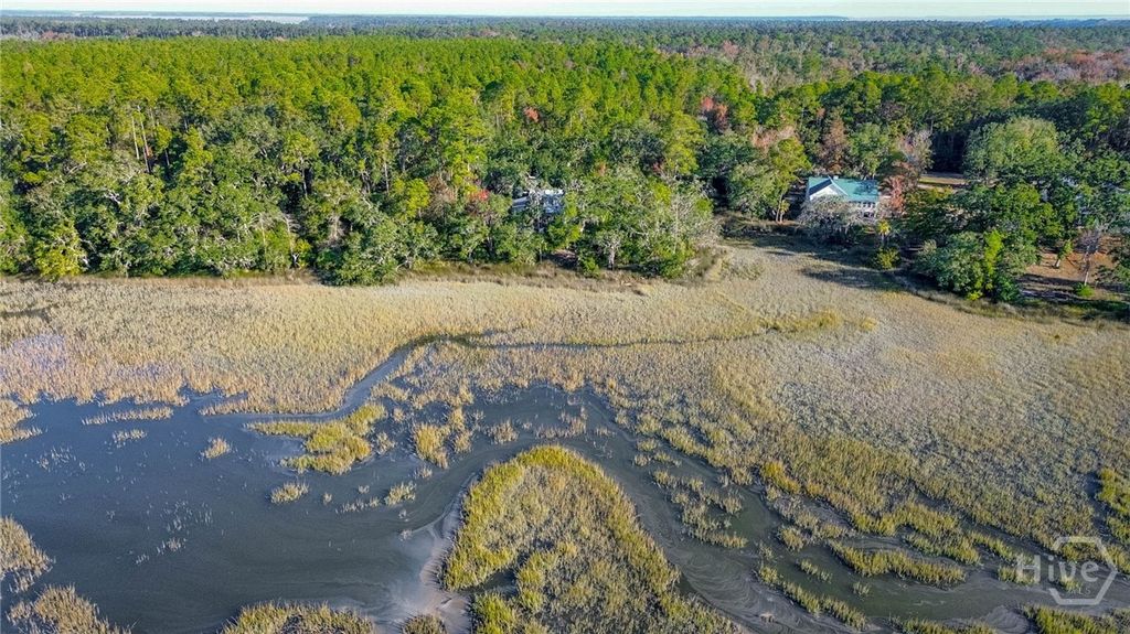 Image 36 of property listing at 3649 Julienton Drive NE, Townsend, GA 31331