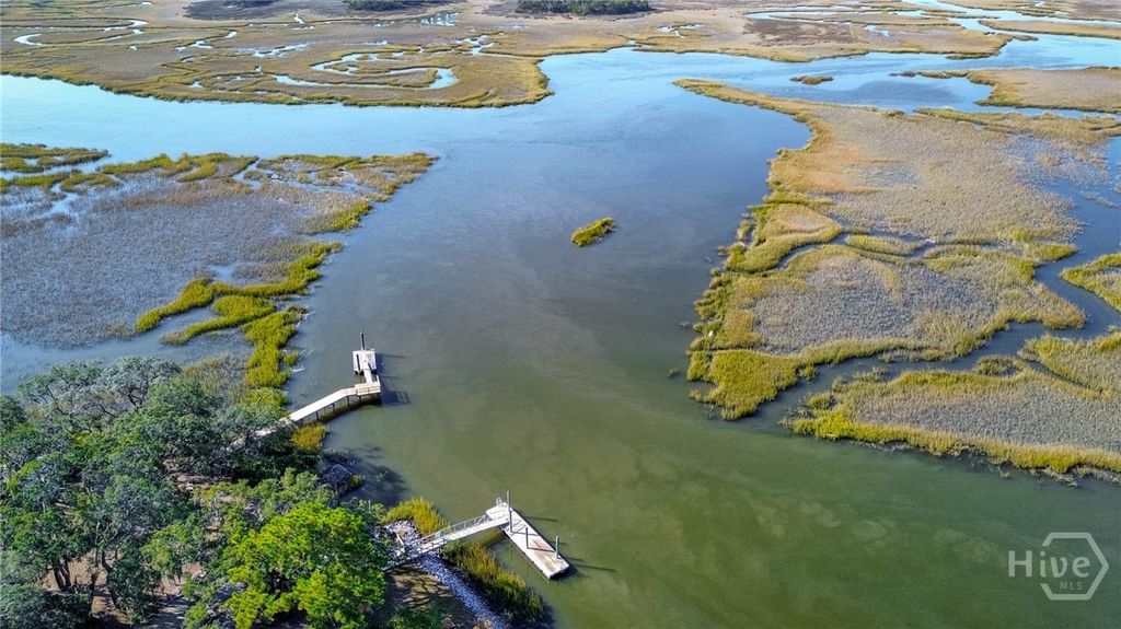 Image 43 of property listing at 3649 Julienton Drive NE, Townsend, GA 31331