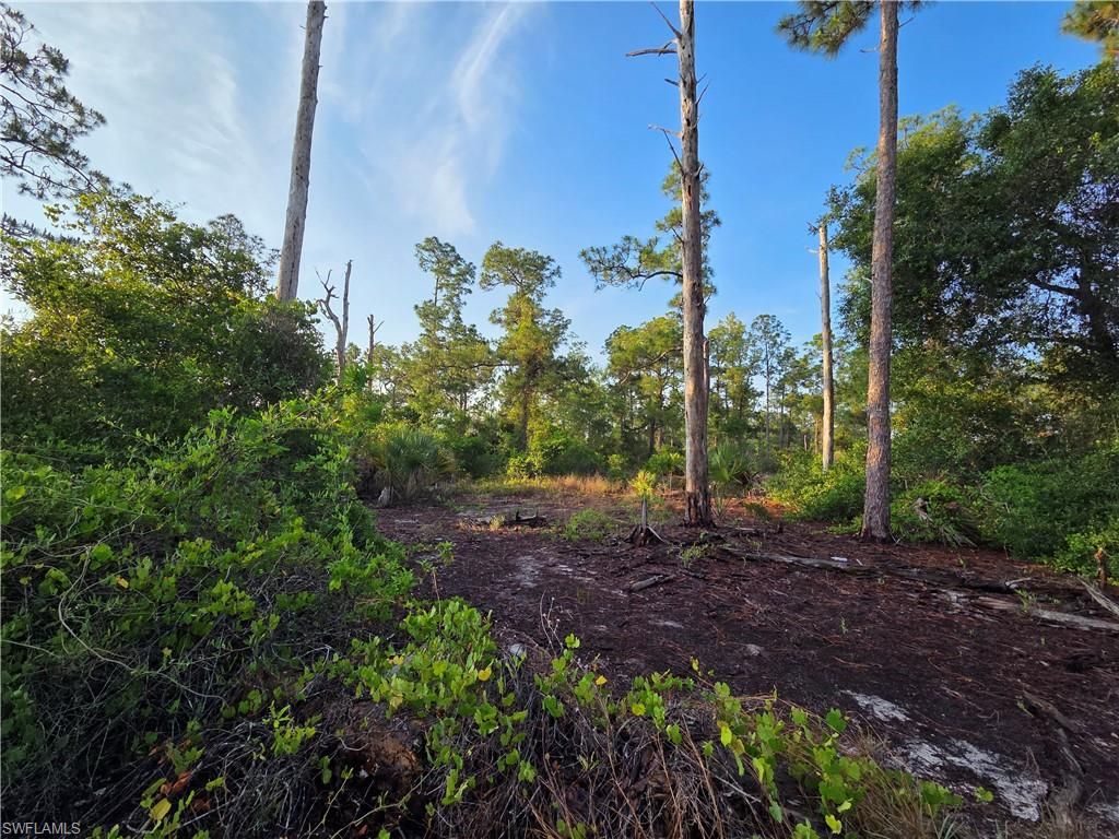 4504 E 7th ST, LEHIGH ACRES, FL 33972 — photo 2