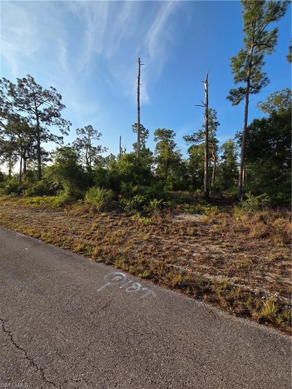 4504 E 7th ST, LEHIGH ACRES, FL 33972 — photo 3