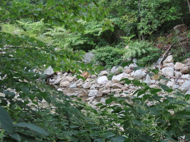 1138 Main Road, Stamford, VT 05352