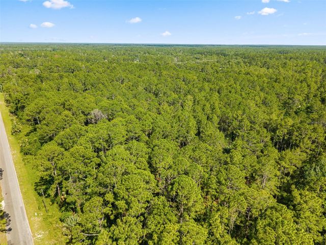 APRICOT AVENUE, Eustis, FL 32736