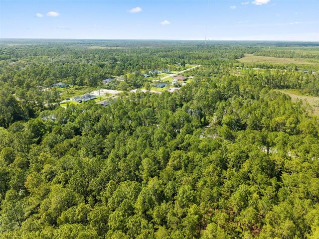 APRICOT AVENUE, Eustis, FL 32736