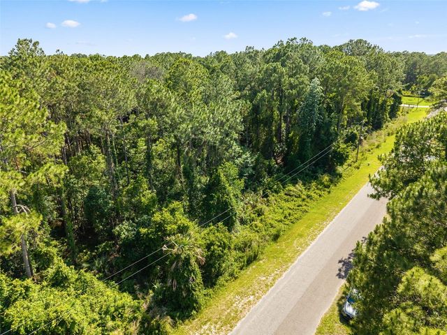 APRICOT AVENUE, Eustis, FL 32736