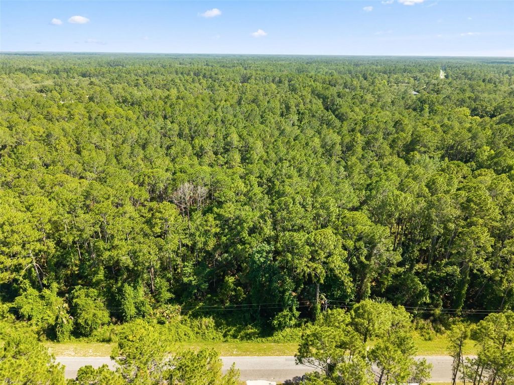 APRICOT AVENUE, Eustis, FL 32736