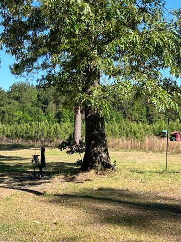 586 Scuffletown Road, Ruffin, SC 29475