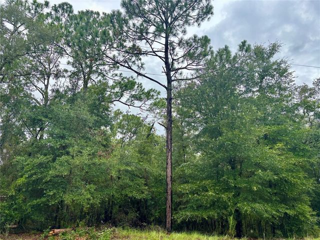 Lot 28 SW 206 CIRCLE, Dunnellon, FL 34431