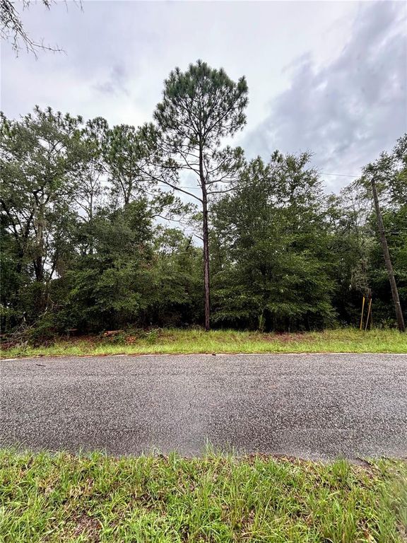 Lot 28 SW 206 CIRCLE, Dunnellon, FL 34431