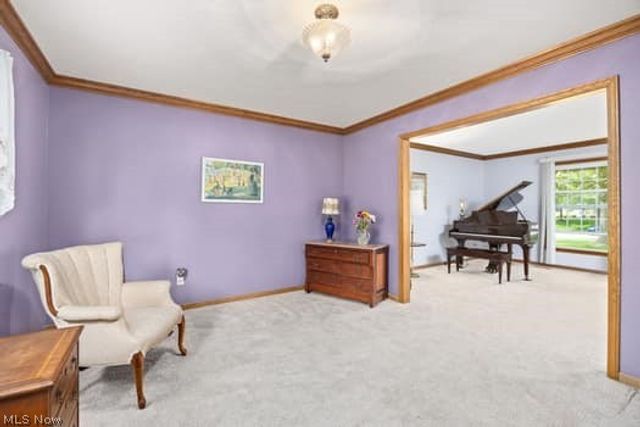 1029 Reedy Drive, Wadsworth, OH 44281