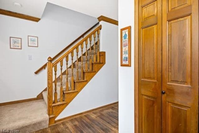 1029 Reedy Drive, Wadsworth, OH 44281