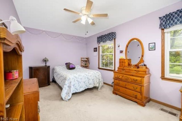 1029 Reedy Drive, Wadsworth, OH 44281