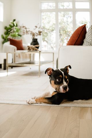 2804 Eastland Ave, Nashville, TN 37206