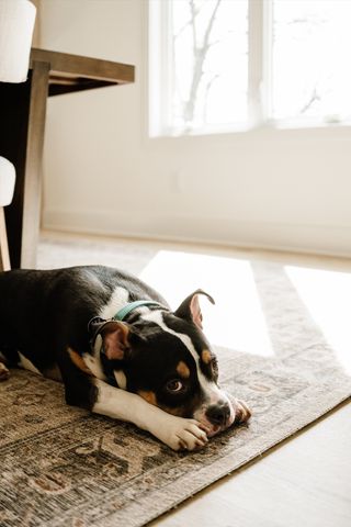 2804 Eastland Ave, Nashville, TN 37206