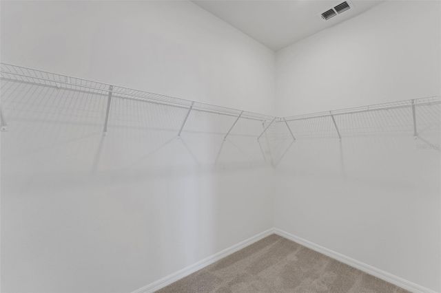 16930 SQUIRREL BRANCH LANE, Alva, FL 33920