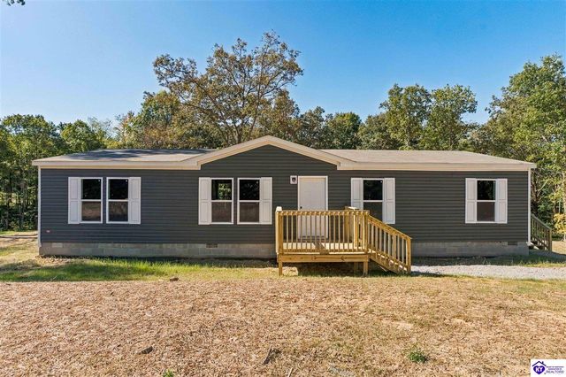 4489 Berrytown Road, Rineyville, KY 40162