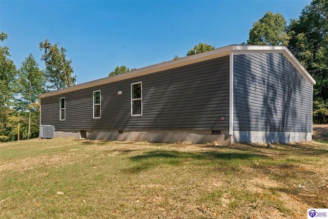 4489 Berrytown Road, Rineyville, KY 40162