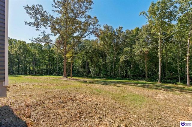 4489 Berrytown Road, Rineyville, KY 40162