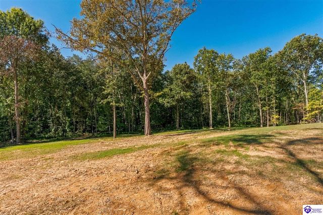 4489 Berrytown Road, Rineyville, KY 40162