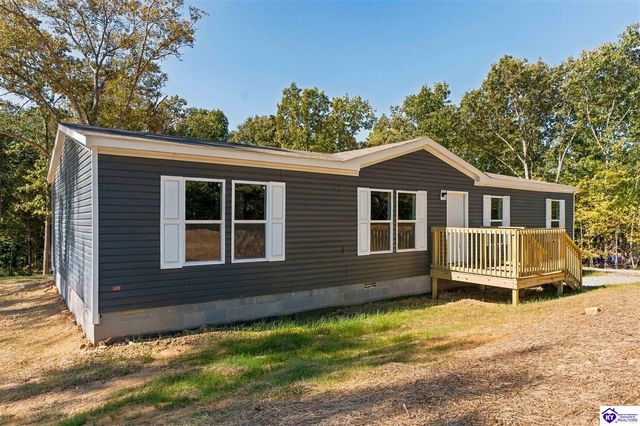 4489 Berrytown Road, Rineyville, KY 40162