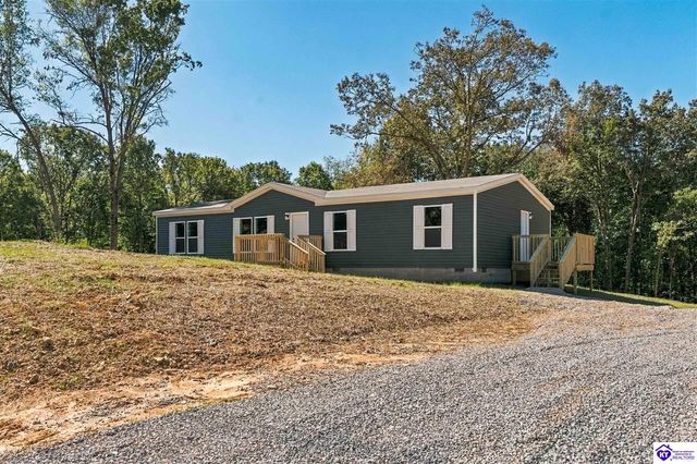 4489 Berrytown Road, Rineyville, KY 40162