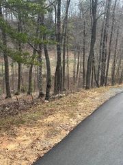 Lot 195 Trails End Way, Mineral Bluff, GA 30559