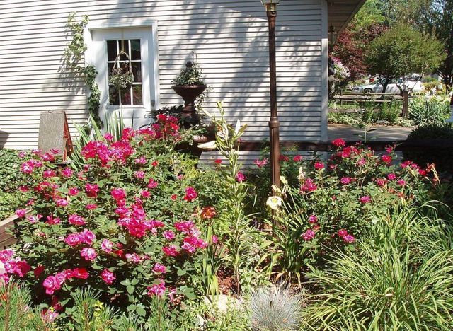 289 Lyon Lake Road, Fredonia Twp, MI 49068