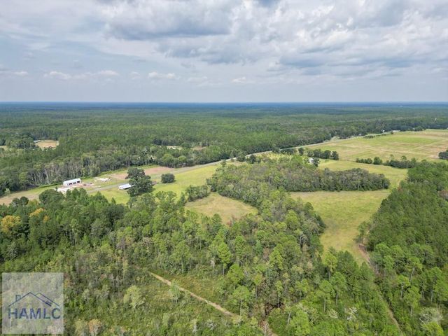 30 Acres Hodges Road, Hinesville, GA 31313