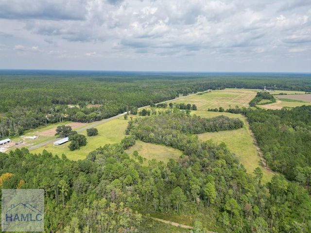 30 Acres Hodges Road, Hinesville, GA 31313