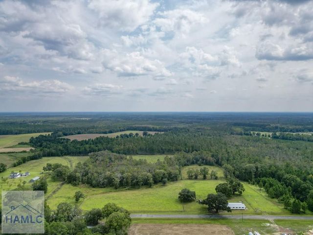 30 Acres Hodges Road, Hinesville, GA 31313