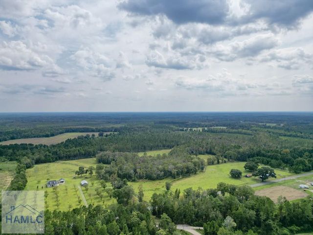 30 Acres Hodges Road, Hinesville, GA 31313