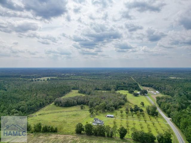 30 Acres Hodges Road, Hinesville, GA 31313