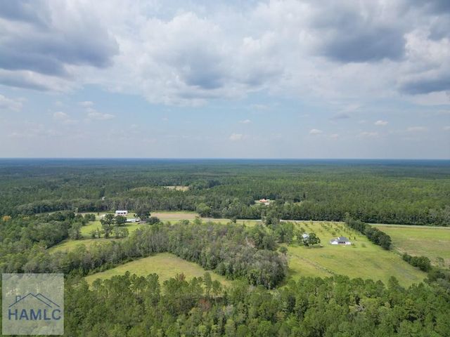 30 Acres Hodges Road, Hinesville, GA 31313