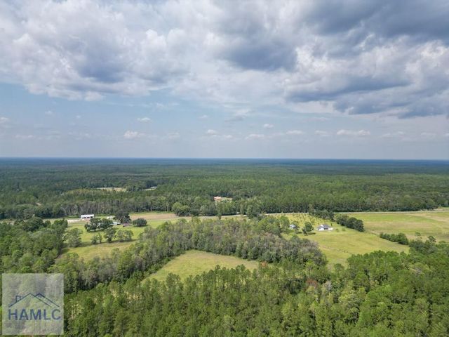 30 Acres Hodges Road, Hinesville, GA 31313
