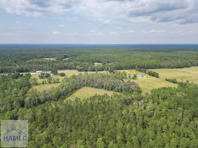 30 Acres Hodges Road, Hinesville, GA 31313