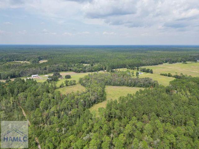 30 Acres Hodges Road, Hinesville, GA 31313