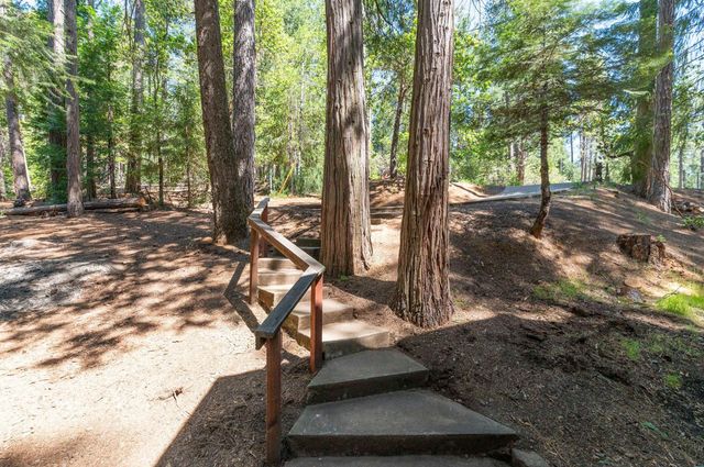 17590 Woodcrest Dr, Pioneer, CA 95666