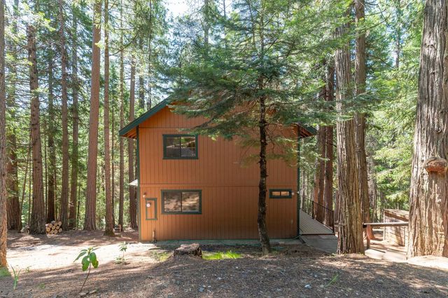 17590 Woodcrest Dr, Pioneer, CA 95666