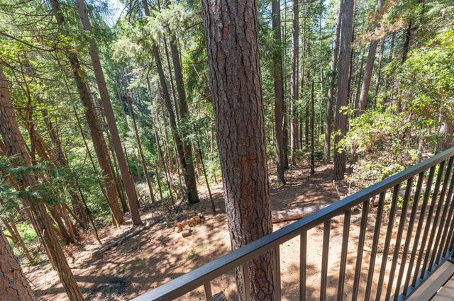 17590 Woodcrest Dr, Pioneer, CA 95666