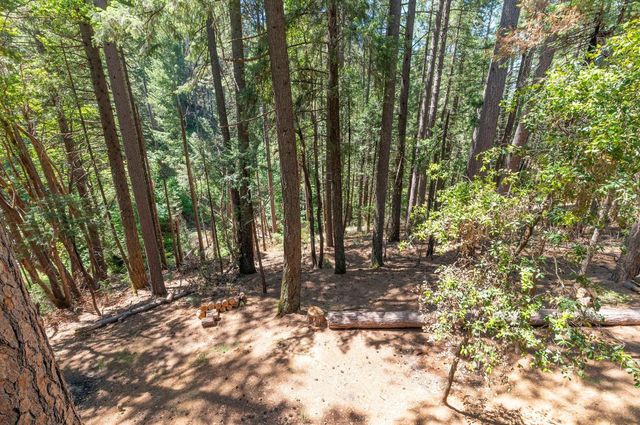 17590 Woodcrest Dr, Pioneer, CA 95666