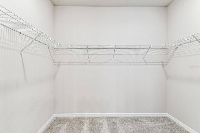 5951 BRISTLE OAK STREET, Mount Dora, FL 32757