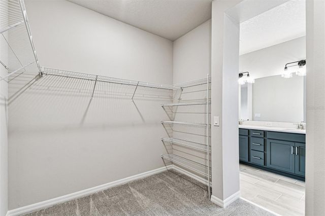 5951 BRISTLE OAK STREET, Mount Dora, FL 32757