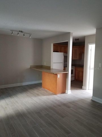 3914 W NEPTUNE STREET 11, Tampa, FL 33629