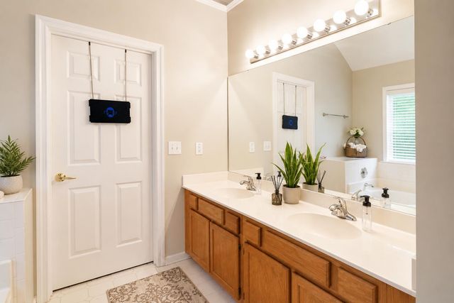 1140 Black Rush Circle, Mount Pleasant, SC 29466